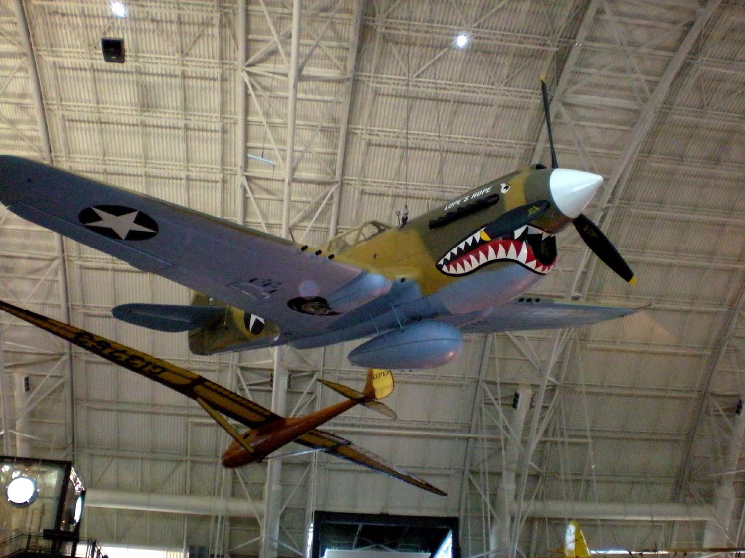 P40Warhawk